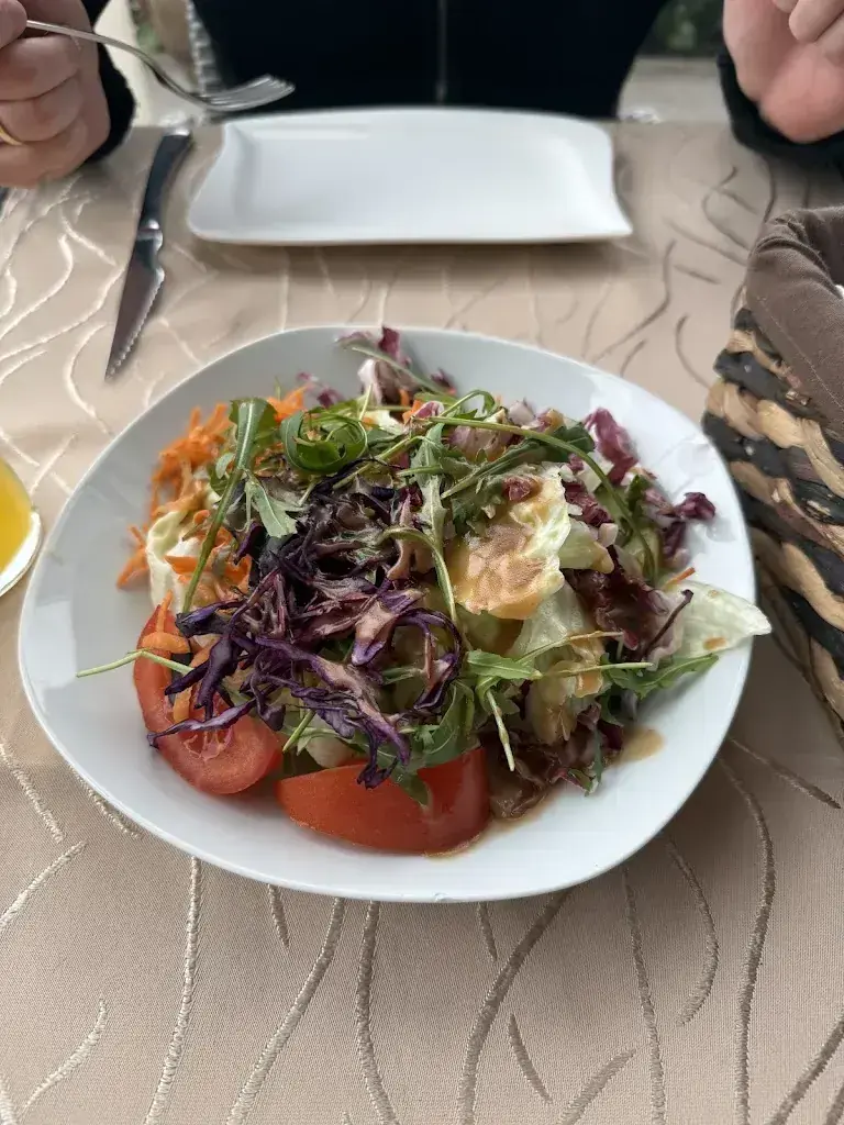 Zora Zido_Restaurant Trovado_Austria_review