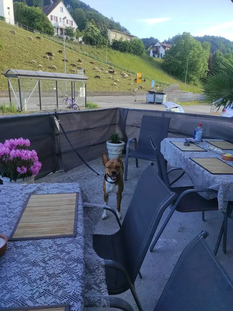 Norbert Vasvari_Pizza Express La Piazza_Schwaderloch_review