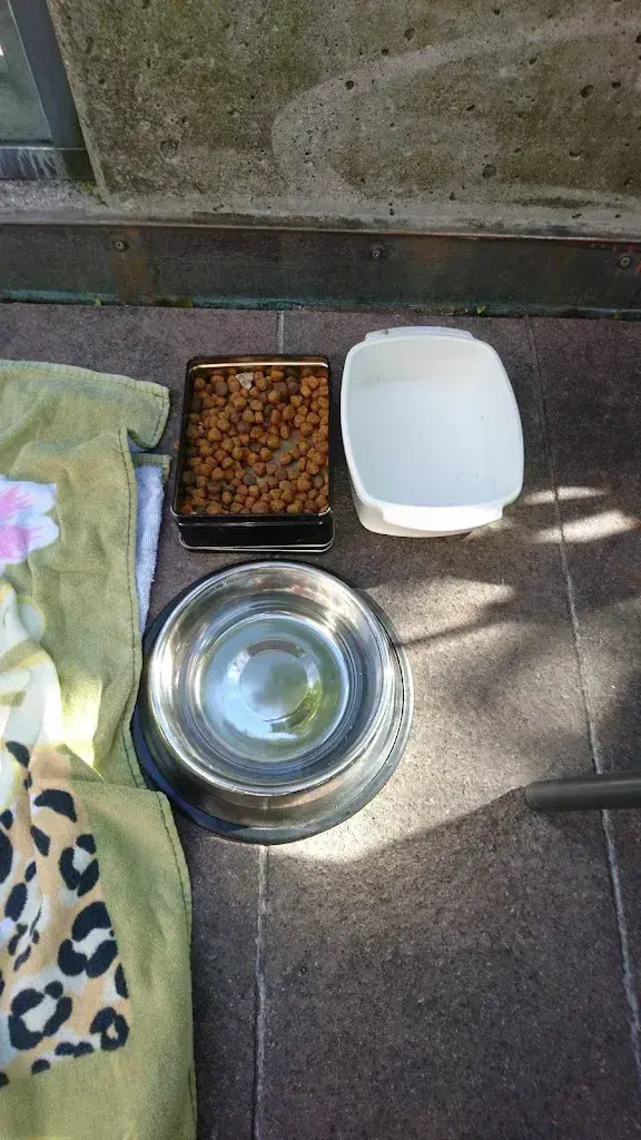 Menu_Gasthof Sternen_Seon_image_8