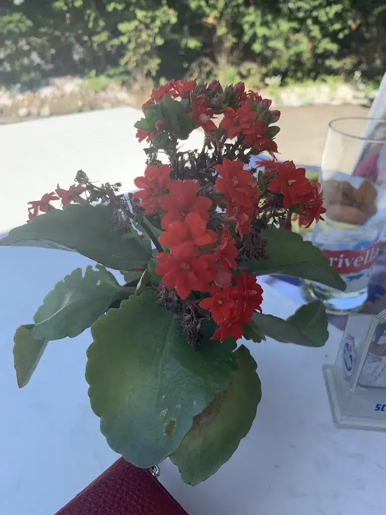 Sandra Hertach (FederSicht)_Restaurant Sternen_Staufen_Bewertung