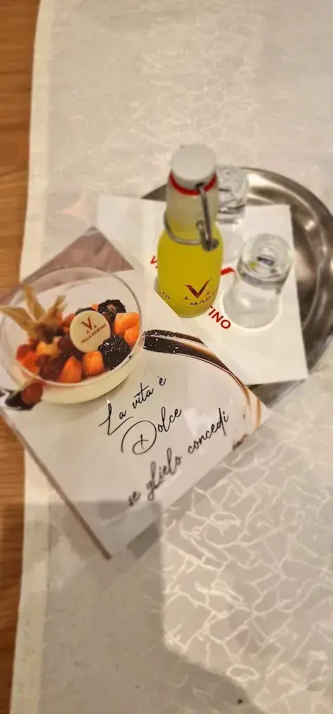 Menu_Ristorante Villa Martino Bad-Säckingen_Germany_image_5