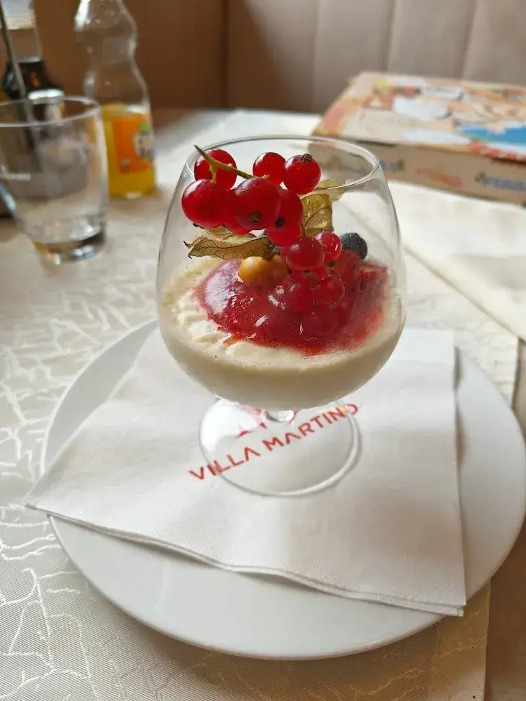 Menu_Ristorante Villa Martino Bad-Säckingen_Germany_image_9