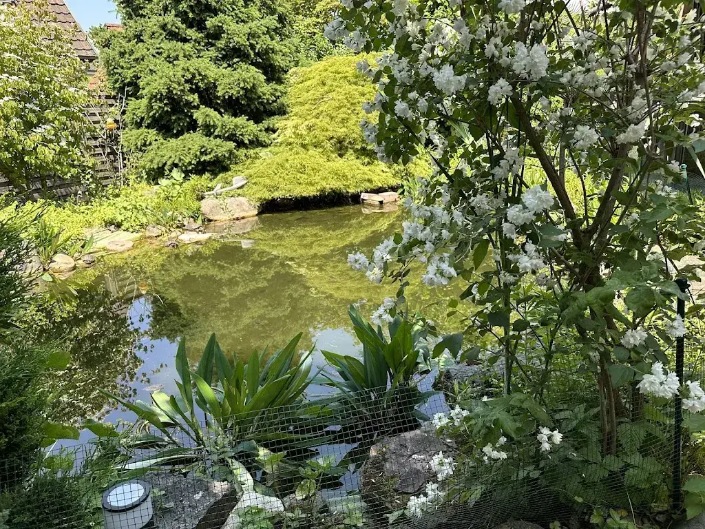 S. F._Landgasthof Krone_Möhlin_review