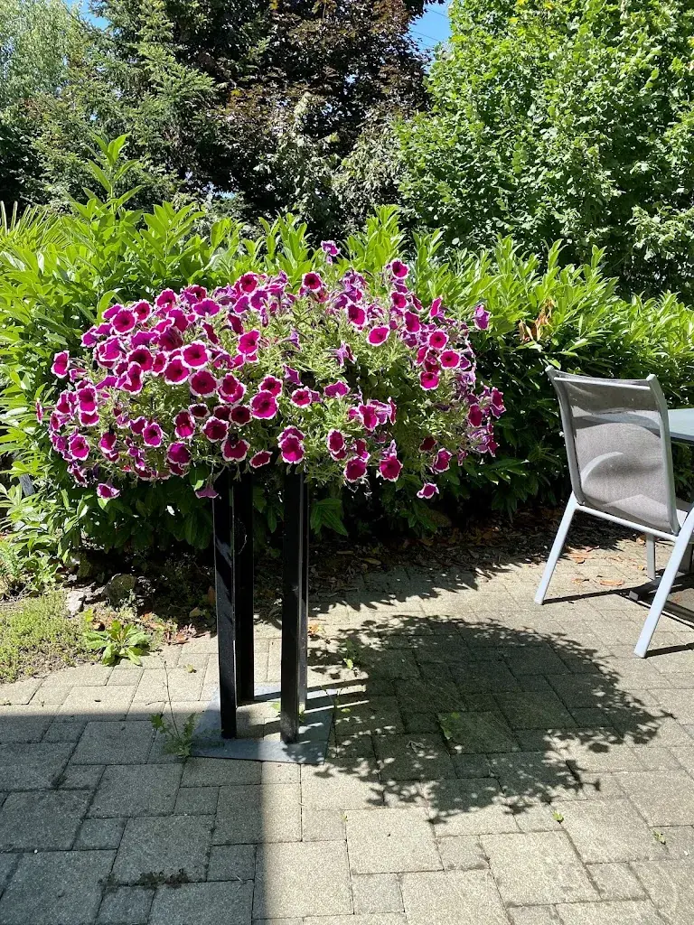 Daniel Wiederkehr_Restaurant Oase_Böttstein_recensione