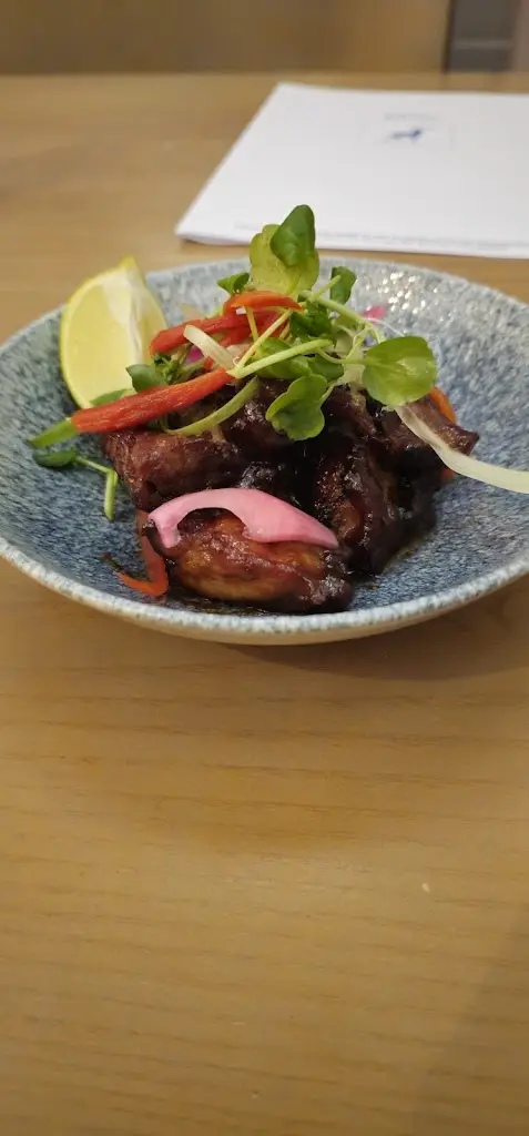 Austin Picture_The Stag_Attleborough_review