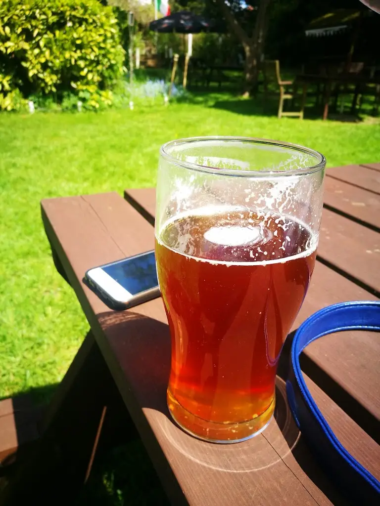 Menu_The Cock & Rabbit Inn_Great Missenden_immagine_8