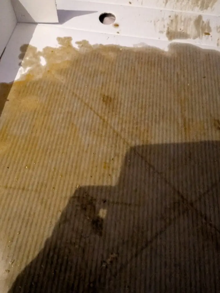 Chelsea Goodwin_Pizza Palace_Grimethorpe_review