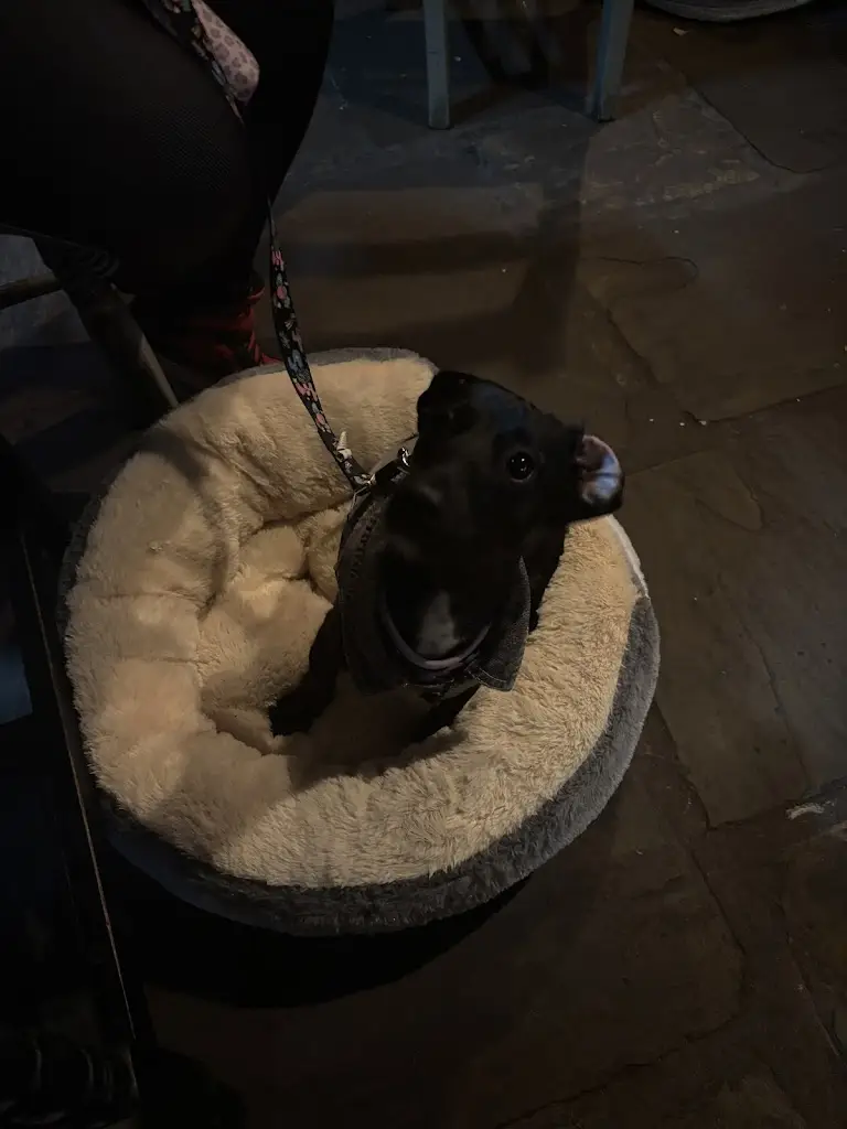 Paul Stephenson_The Mill_Great Ayton_review