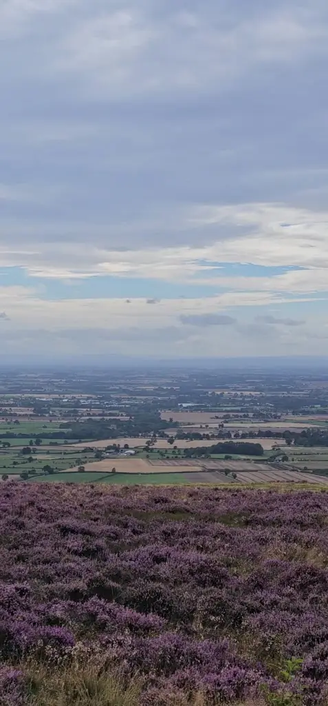 Warren Baird_Captain Cook's Monument_Great Ayton_review