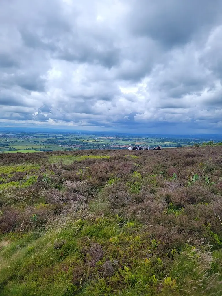 Roger Cowles_Captain Cook's Monument_Great Ayton_review