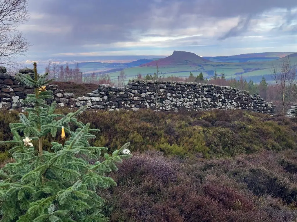 Captain Cook's Monument_Great Ayton_slider_image_3