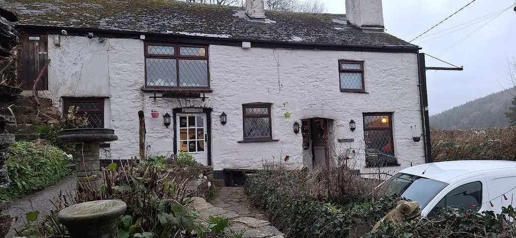 Steve Ingamells_The Rising Sun_Gunnislake_review