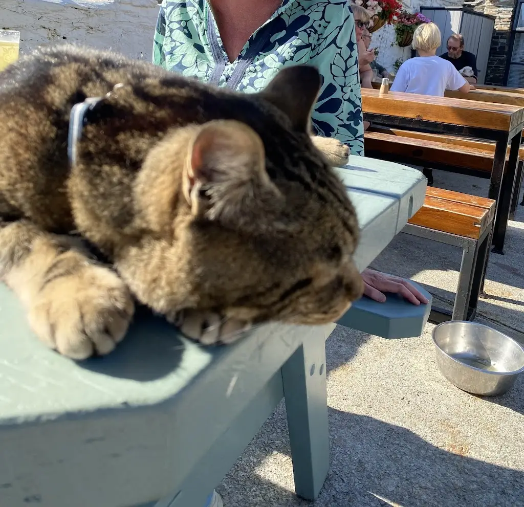 Jasper Wybrants_The Tamar Inn_Gunnislake_review