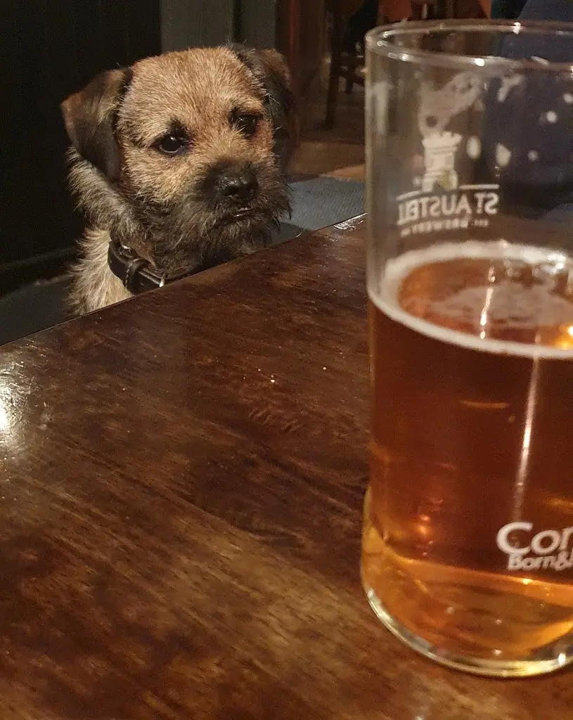 Menu_The White Hart Inn_Gunnislake_immagine_5