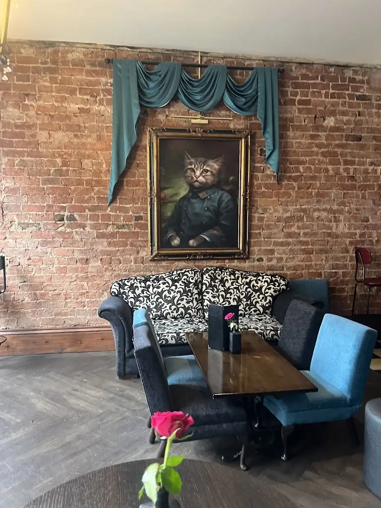 Chloe Harris_Curious Cat_Grimsby_review