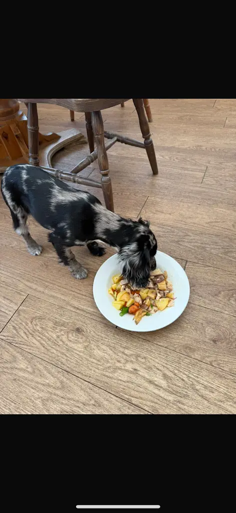 Ryan edwards_The Vine at Hannington_Hannington_review