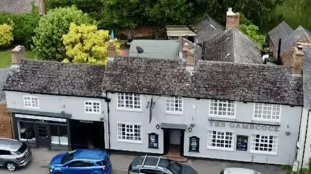 The Gamecock_Harbury_slider_image_2