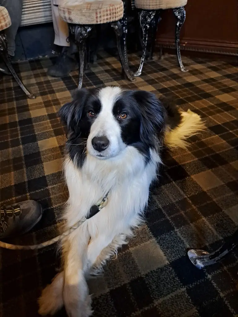 Lisbeth Wort_The Black Bull_Haltwhistle_review