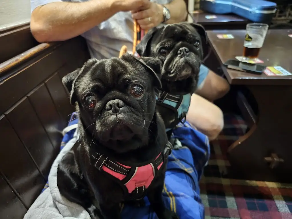 Julie Stones_Wallace Arms_Haltwhistle_review