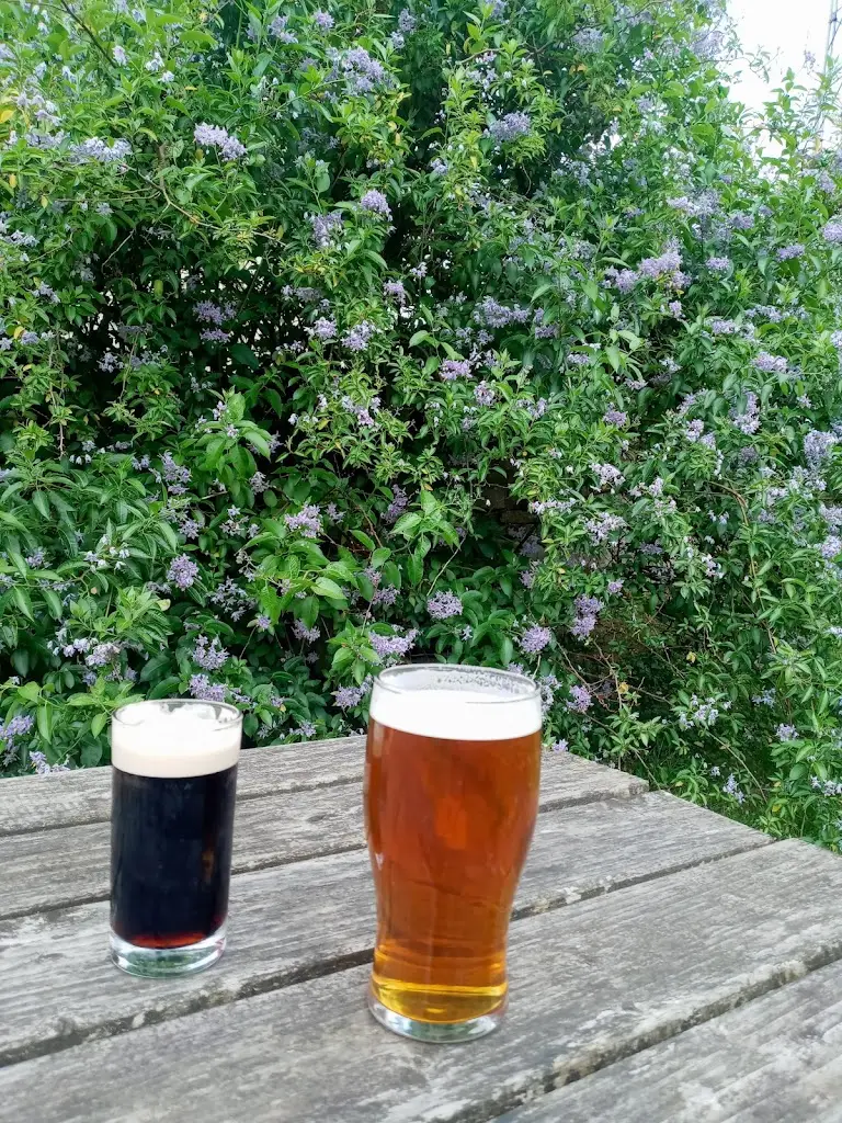 Menu_The Samson Inn Community Pub_Haltwhistle_image_2