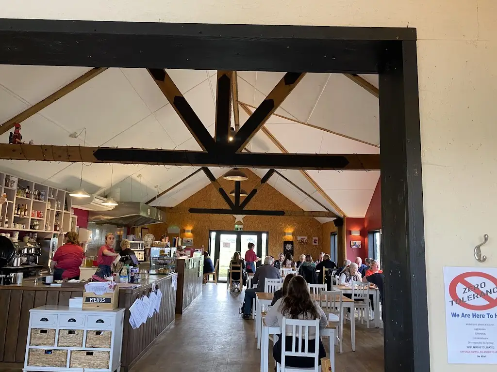 Nola Peters_The Broken Egg Cafe_Harleston_review