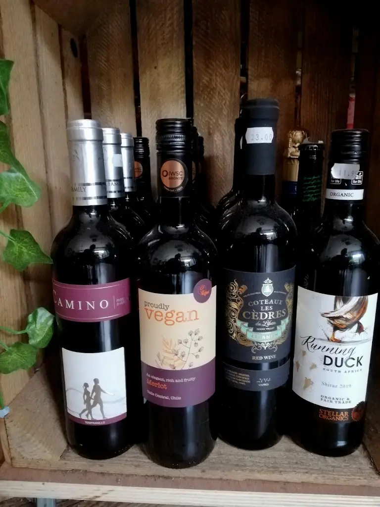 Menü_Hungry Cat_Harleston_Bild_9