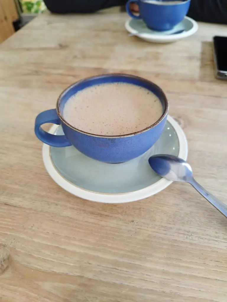 Matache Andra_Hungry Cat_Harleston_Bewertung