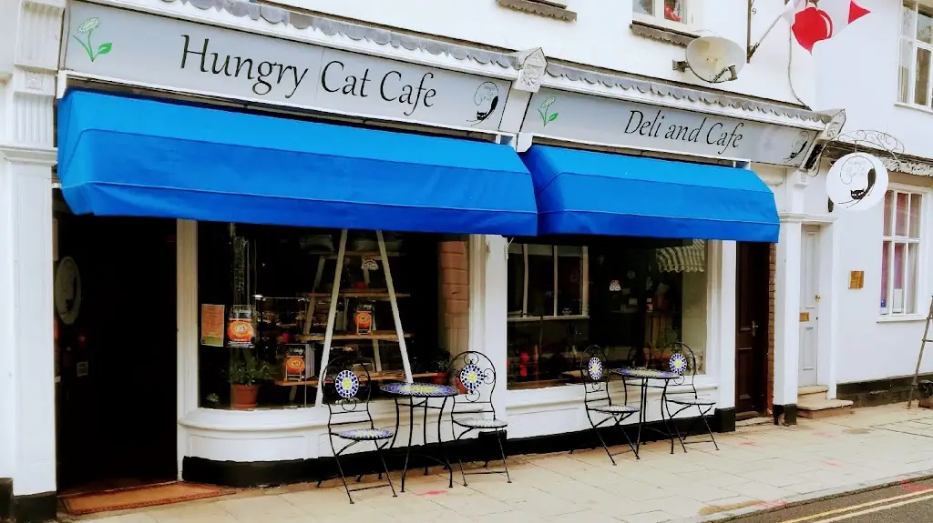 Hungry Cat_Harleston_slider_image_1