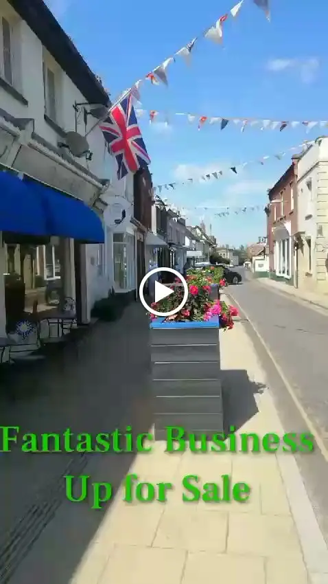 Hungry Cat_Harleston_slider_image_2