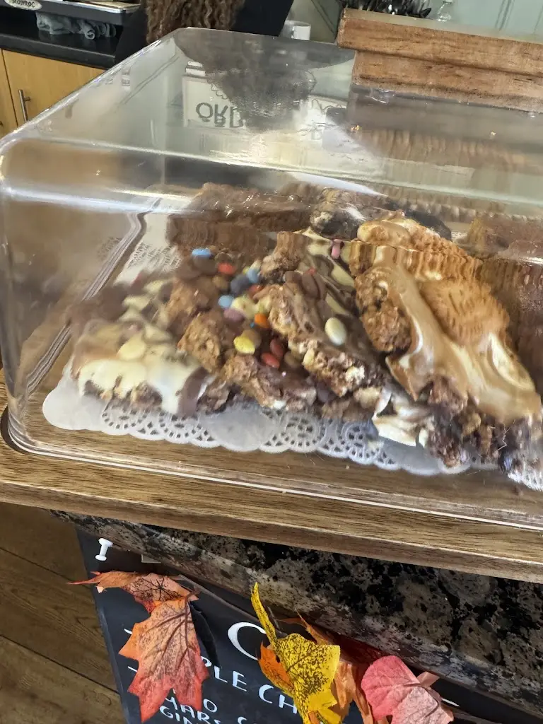 Lena_The Fat Giraffe_Hapton_review