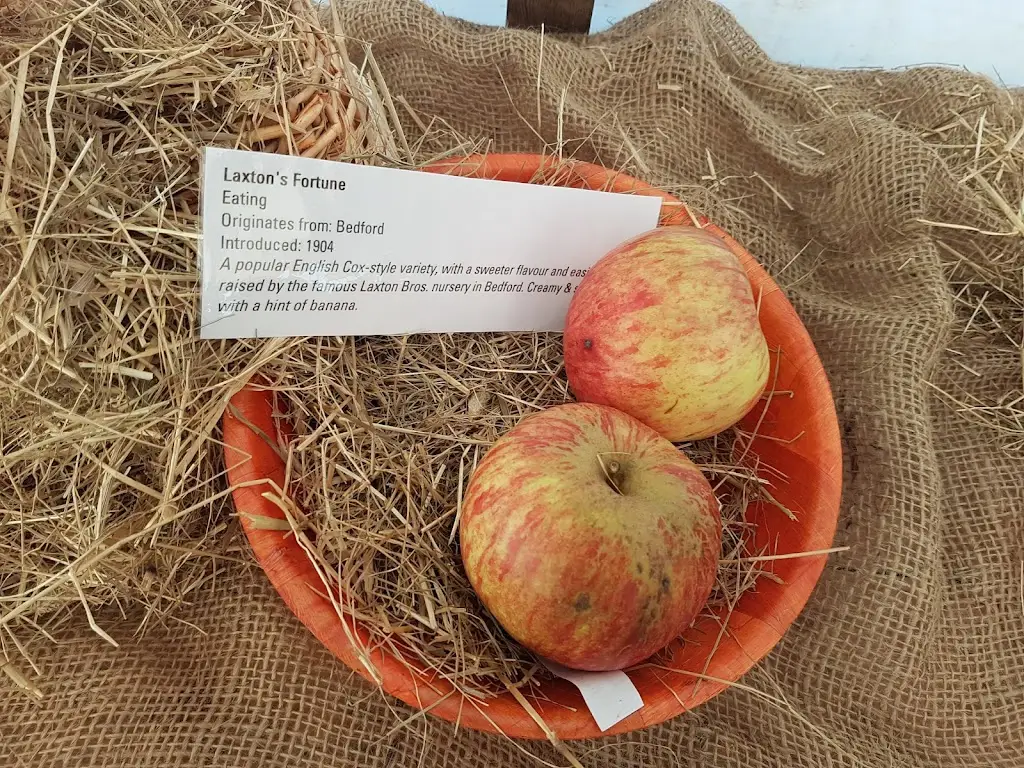 Menü_The Fleece Inn, Bretforton (National Trust)_Badsey_Bild_9