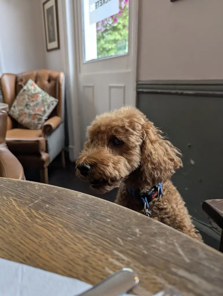 Tanya Edwards_The Cricketers_Hartley Wintney_recensione