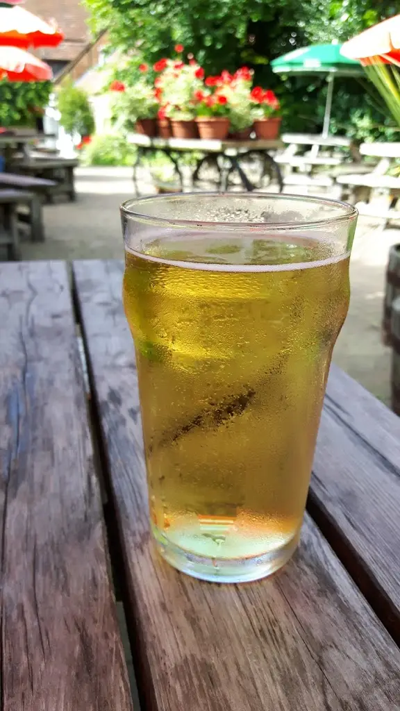 Menu_Waggon & Horses_Hartley Wintney_image_3