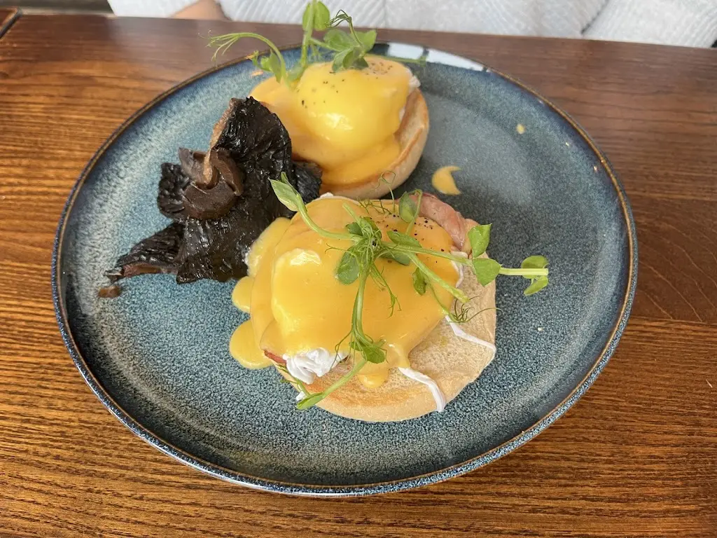S Torr_Starling_Harrogate_review