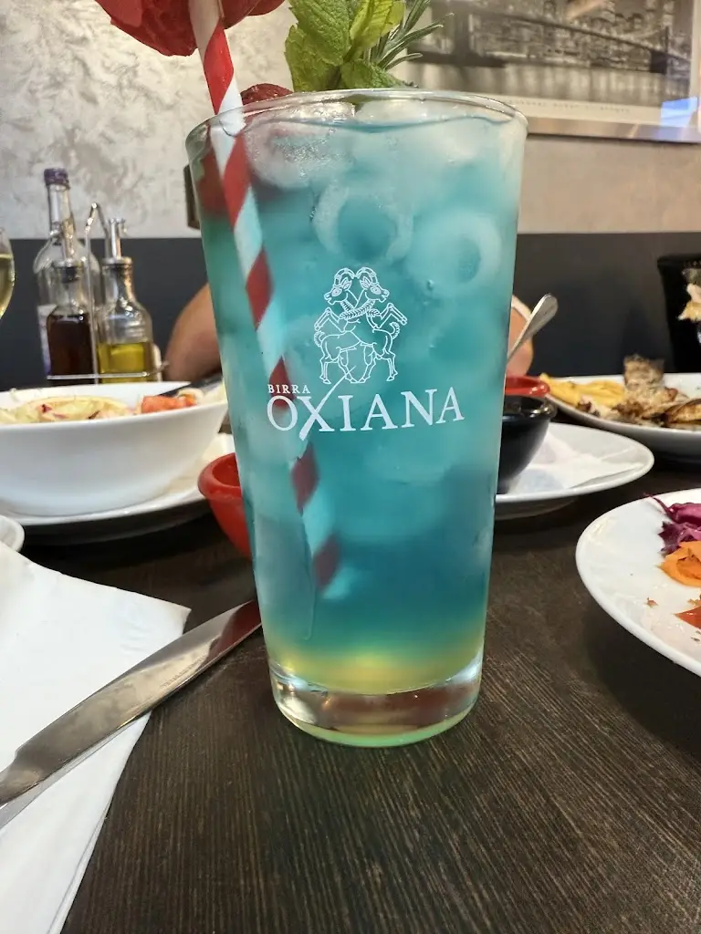 Florin Lazar_Meteor Meze & Grill Restaurant_Harold Wood_review