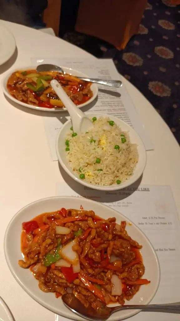 elissa elmi_Chef Peking_Harpenden_review