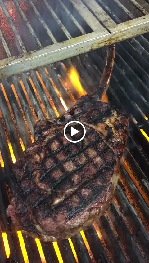 Moorhen_Harlow_slider_image_2