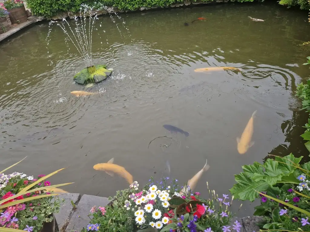 A_The John Barleycorn_Harlow_review