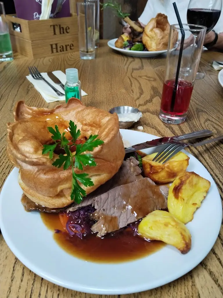 Susan Figg_Hare_Harlow_review