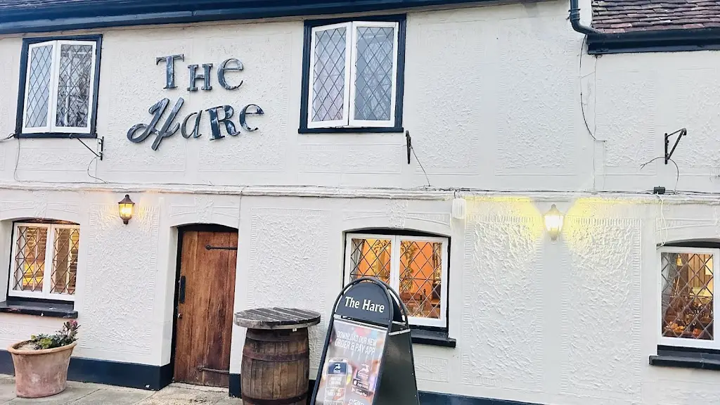 Hare_Harlow_slider_image_3