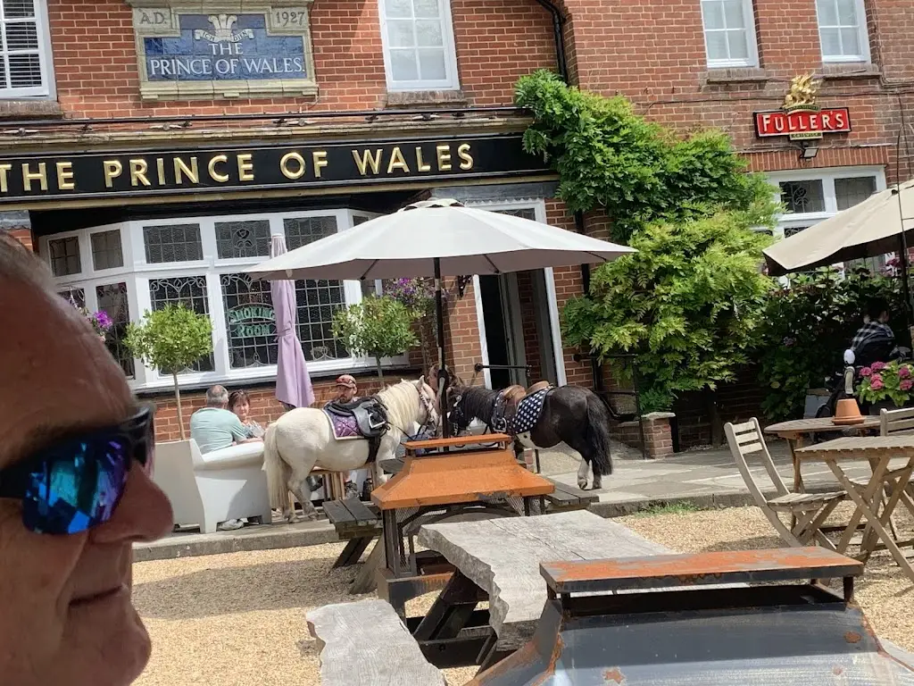 Helen Brown_The Prince of Wales_Haslemere_review