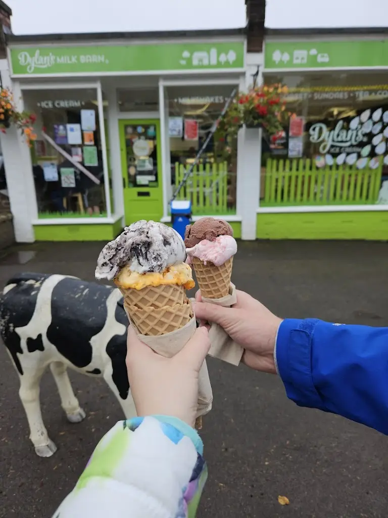 Ondrej Matejcek_Dylan's Ice Cream Haslemere_Haslemere_review