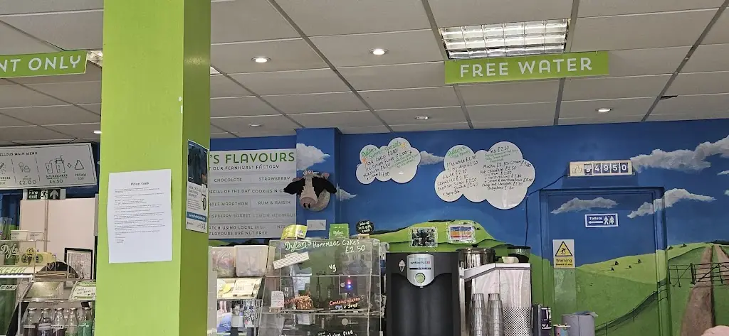 Stephen Hookings_Dylan's Ice Cream Haslemere_Haslemere_review