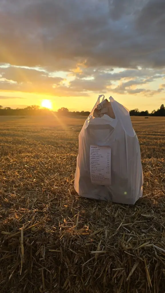 Jotham Gauntlett_Omar's Tandoori_Hatfield Peverel_review