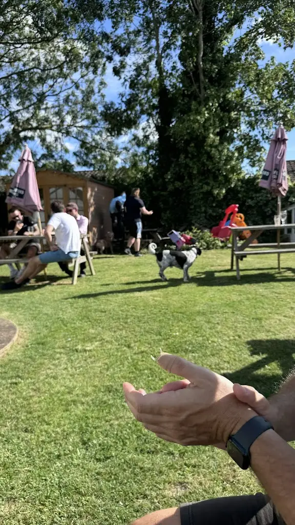 Mrs L_The Bell Inn Balsham_Balsham_review