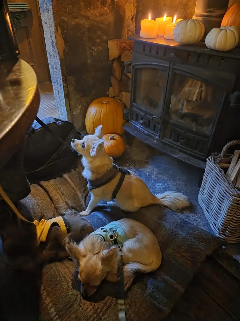 JP_The Hawthorn_Haworth_review