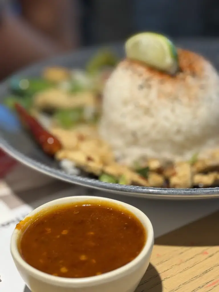 Amir Navazani_wagamama hatfield galleria_Hatfield_review