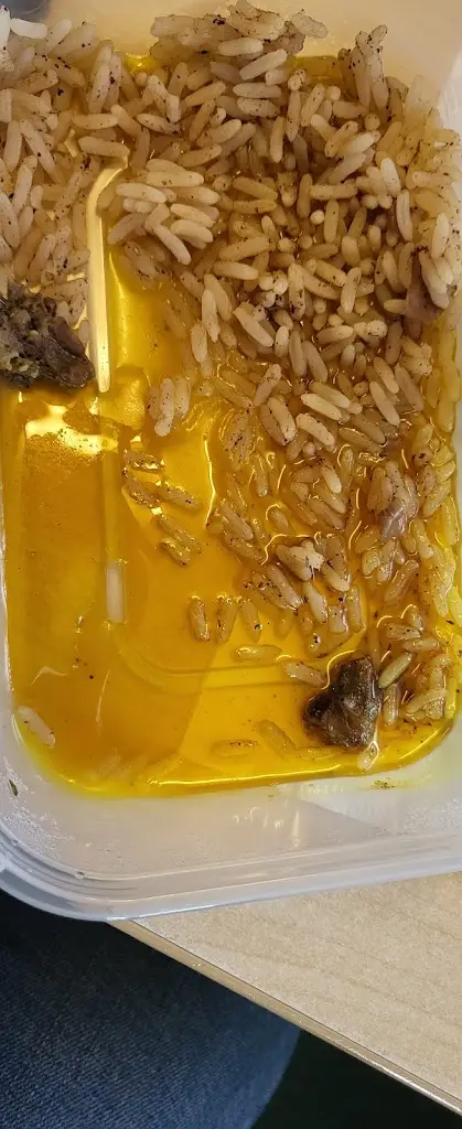 debbie stammers_AGOGOS_Hatfield_review