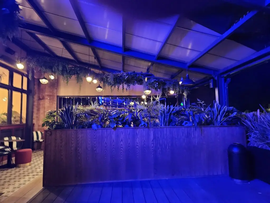 Fred bigox_The Missing Squirrel_Hayling Island_review