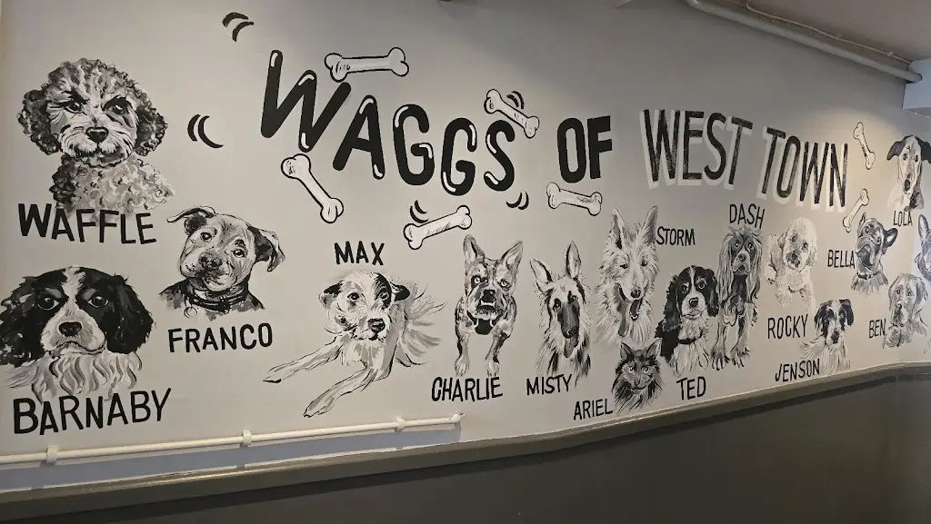 Colin Setchfield_West Town Inn_Hayling Island_review